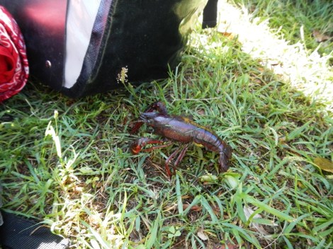 ???????????????????????????????