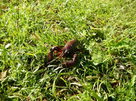 ???????????????????????????????