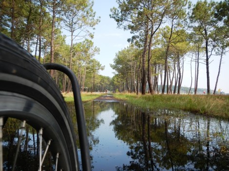 ???????????????????????????????