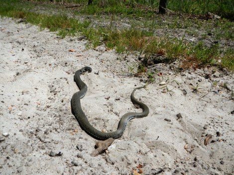 ???????????????????????????????