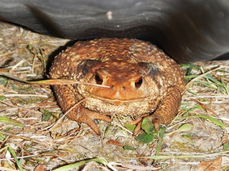 ???????????????????????????????