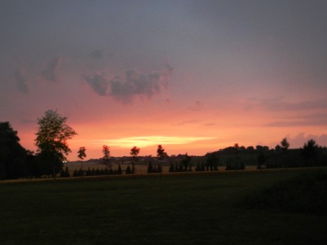 ???????????????????????????????