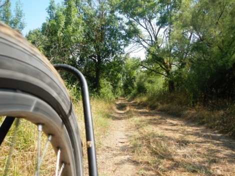 ???????????????????????????????