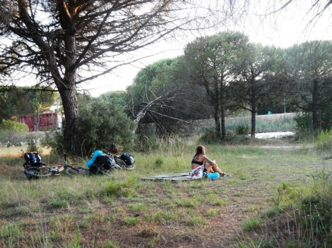 ???????????????????????????????