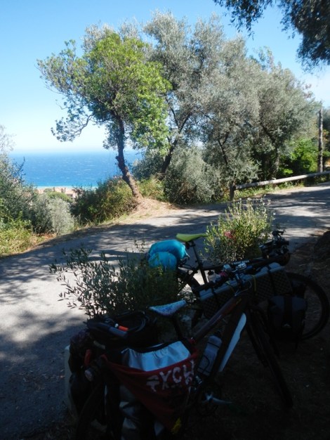 ???????????????????????????????