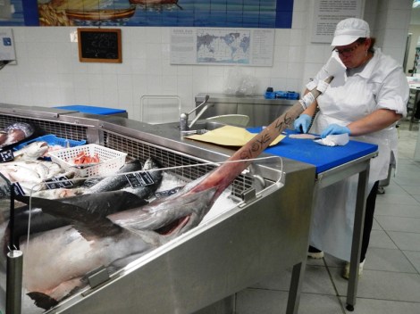 ???????????????????????????????