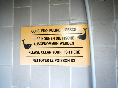 ???????????????????????????????