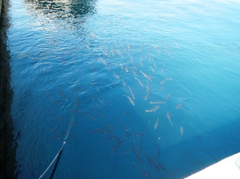 ???????????????????????????????